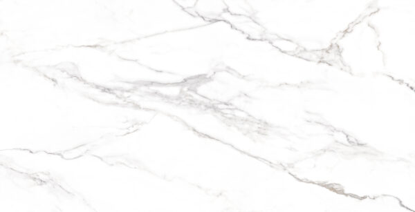 Porcelanato Embramaco Gran Piastra Di Carrara Lux 62X121 Polido P60609