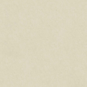 Porcelanato Embramaco Valência Lux Plus 82X82 Polido P82000